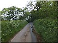 Road to Wyke Moor Cross