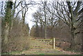 Gated track into Nackholt Wood