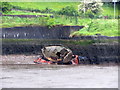 Wreck on the Gateshead shore