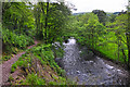 West Somerset : The River Barle