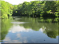 Willow Hall Dam - Dam Head Road