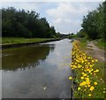 Canalside Boothstown