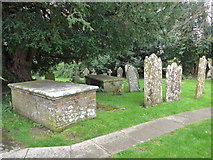 SY9693 : Parish church, Lytchett Minster: churchyard (6) by Basher Eyre