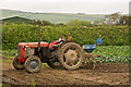 Farming vegetables on New Cross Farm