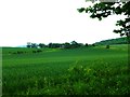 View from the byway known as Halnaker Lane