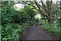 Path leading to Cusworth Park, Doncaster