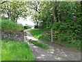 Gate and track to West Hill