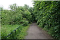 Trans Pennine Trail towards the River Don