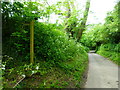 Unnamed lane goes north from footpath junction