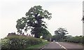 Housing on the eastern outskirts of Winsford