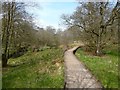 Boardwalk at Auchnacraig