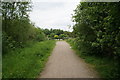 Trans Pennine Trail towards Dearne Road