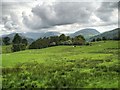 NY3700 : Wray Castle Estate, View of the Fells from the Main Draiveway by David Dixon
