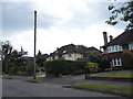 Houses on Cheyham Way, Belmont