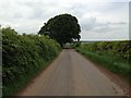 Minor road near Broomiebank