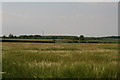 Communications mast and site of NATO nuclear bunker at Claxby