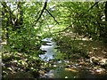 The infant River Exe, near Warren Bridge