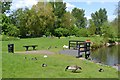 Park furniture, the Water Gardens, Matchborough, Redditch