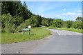 Road to Moniaive at Muirdrochwood