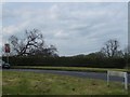 Large fallen tree at Tower Cross