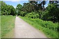 The Greenway cycleway