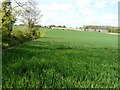 Bridleway to Old Court Cottages