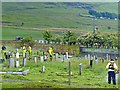 Tidying up the cemetery, Cefn Golau