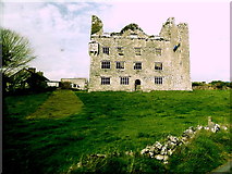 R2393 : County Clare - R480 - The Burren - Leamaneagh Castle by Suzanne Mischyshyn