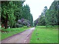 Necropolis Railway (Disused) : Brookwood Cemetery