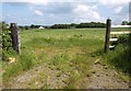 Towards Stewdon Farm