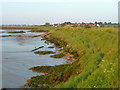 Sea wall, Mundon Creek