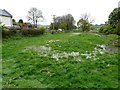 Waterlogged meadow beside the Gate House