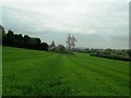 Grassland near Birdholme Farm