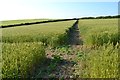 Footpath crossing east of Allaleigh Cross