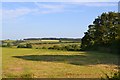 Towards one of Dartmouth Golf and Country Club?s courses, seen from Ridge Lane