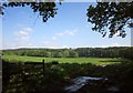 Field near Dippermill