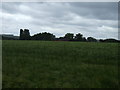 Farmland towards Highfield