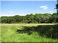 TM3295 : Meadow beside Birch Way by Evelyn Simak