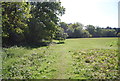 Footpath along the woodland edge