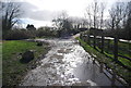 Footpath to the canal