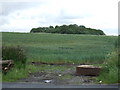 Farmland towards Long Covert