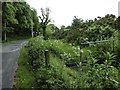 Footbridge over Cleugh Burn