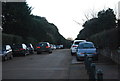 Driveway to Holkham Hall