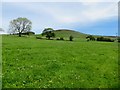 Grassland above Sabden