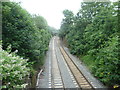 View from Northcote Road