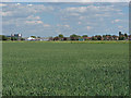 TQ0773 : Farmland near Heathrow by Alan Hunt