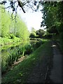 Bedale Beck Footpath