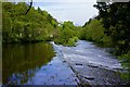 Scotton Weir, Nidderdale