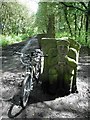 Stone bench on TPT near Silkstone Common