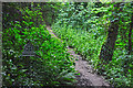 Torridge : Burrough Farm Footpath